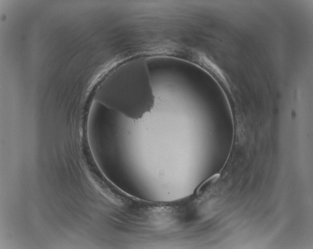 X0000058780059200510031031