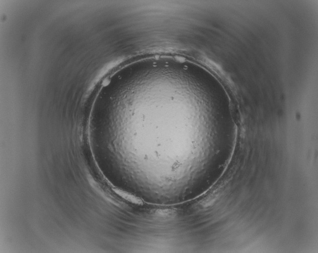 X0000058780060200510031031