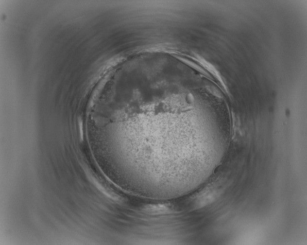 X0000058780061200510031031