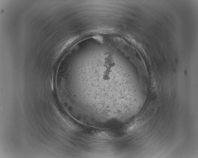 X0000058780062200510031031