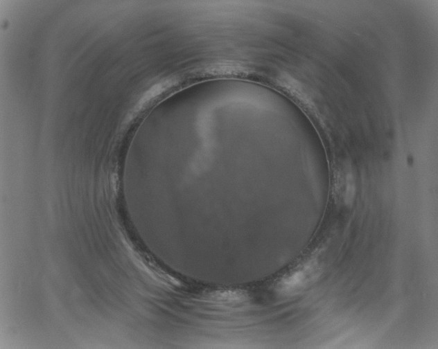 X0000058780063200510031031