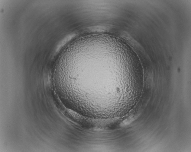 X0000058780064200510031031