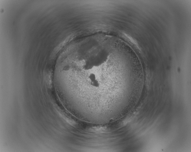 X0000058780065200510031031