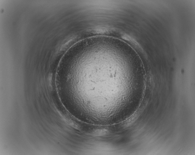 X0000058780066200510031031