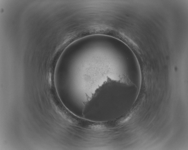 X0000058780067200510031031