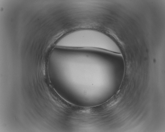 X0000058780068200510031031