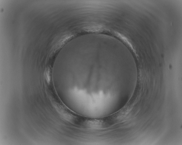 X0000058780069200510031031