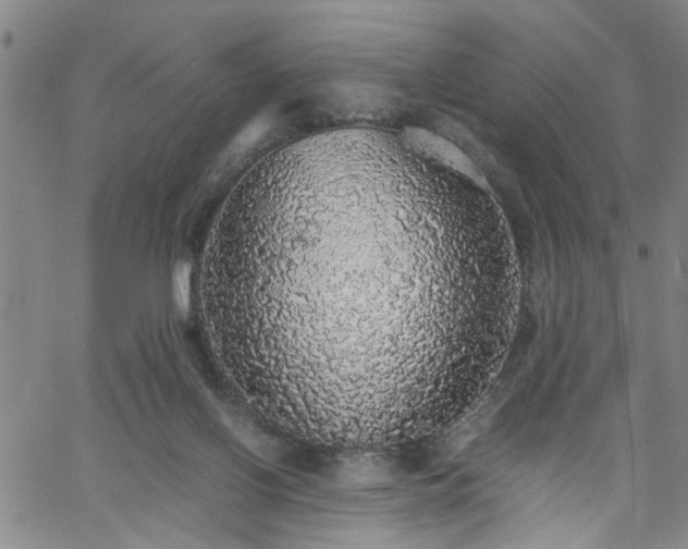 X0000058780070200510031031