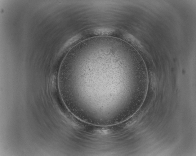 X0000058780071200510031031