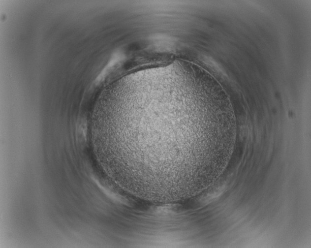 X0000058780072200510031031