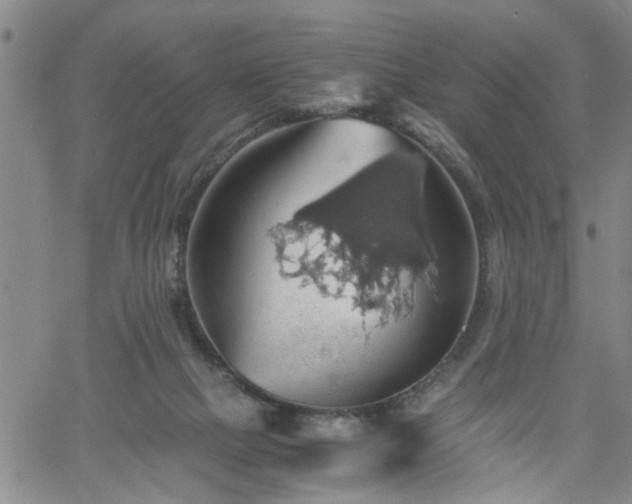 X0000058780073200510031031