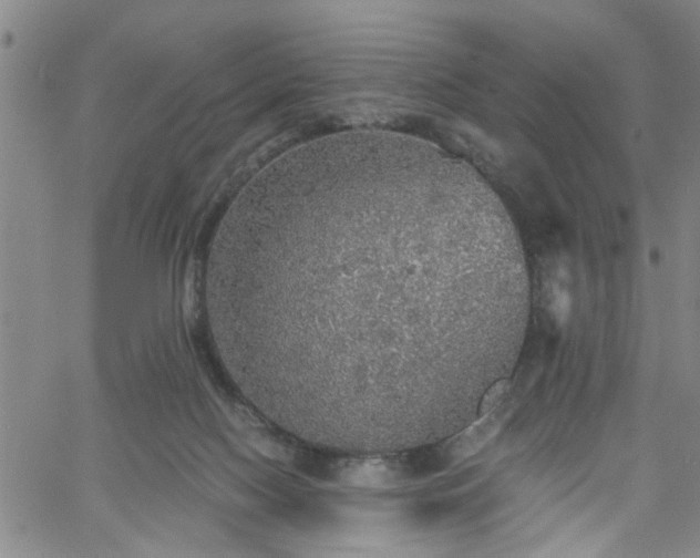 X0000058780074200510031031