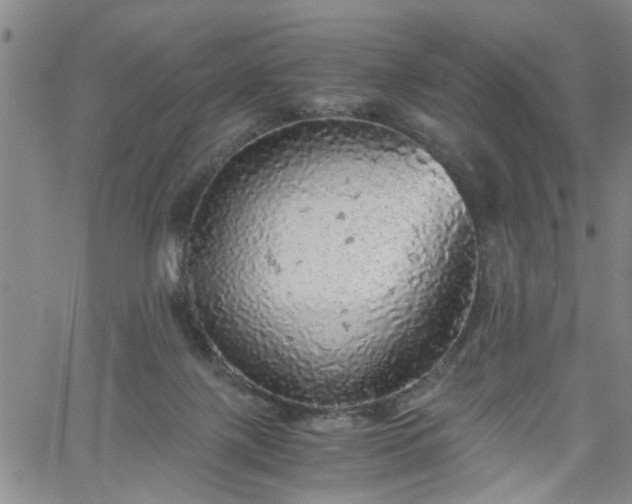 X0000058780075200510031031