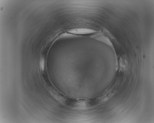 X0000058780076200510031031