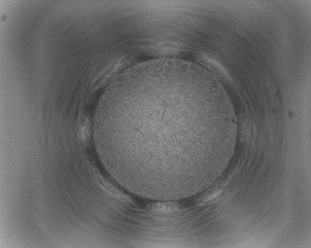 X0000058780077200510031031