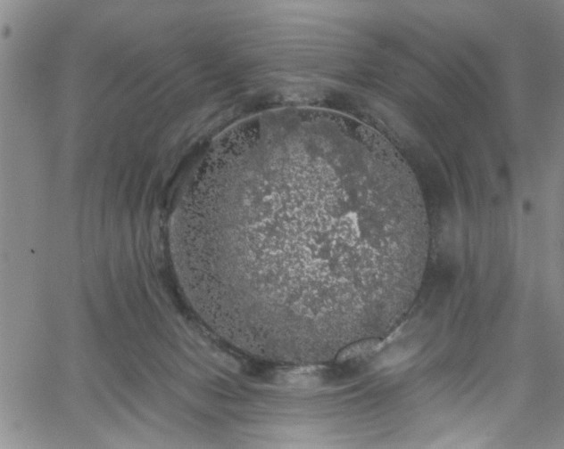 X0000058780078200510031031