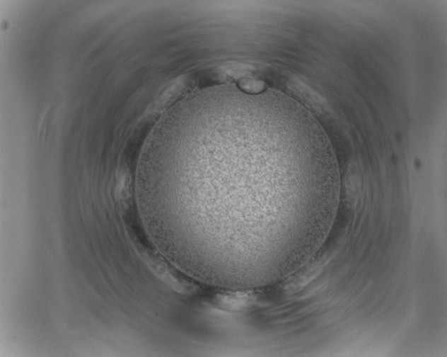 X0000058780079200510031031