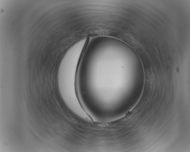 X0000058780080200510031031