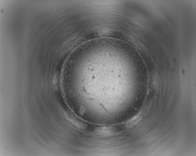 X0000058780082200510031031