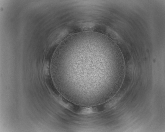 X0000058780083200510031031