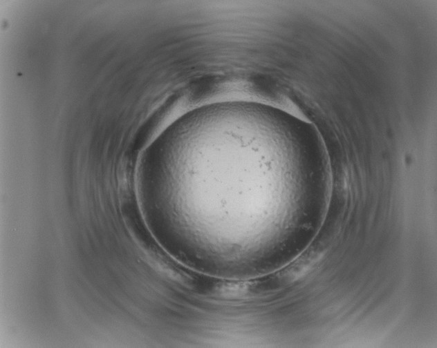 X0000058780084200510031031