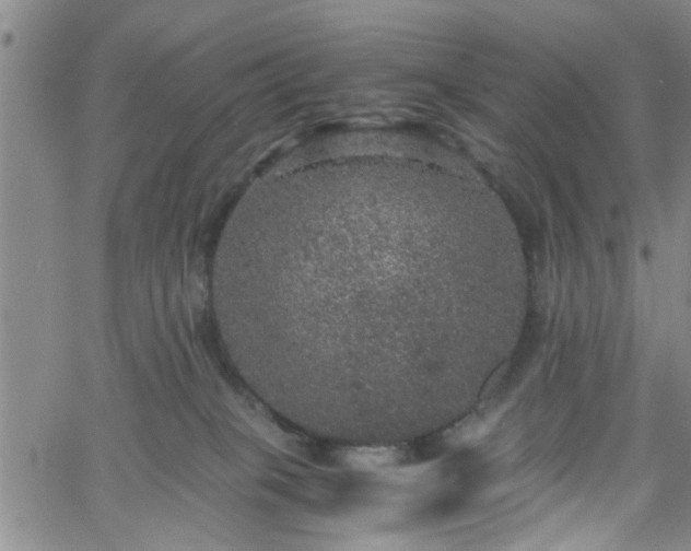 X0000058780085200510031031