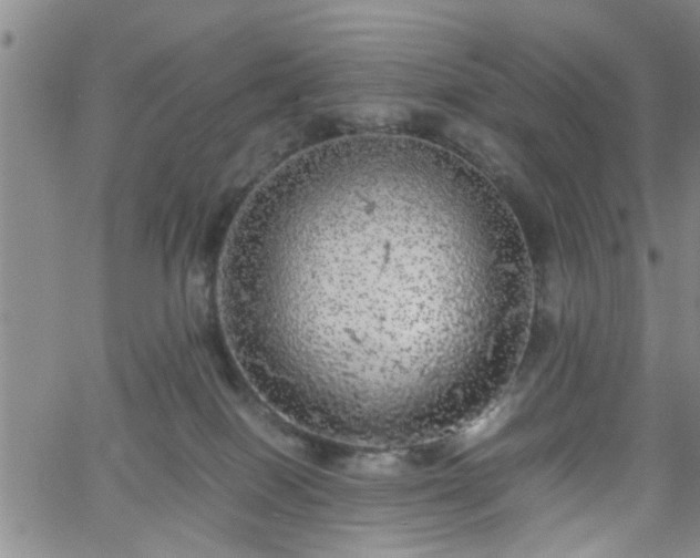 X0000058780086200510031031