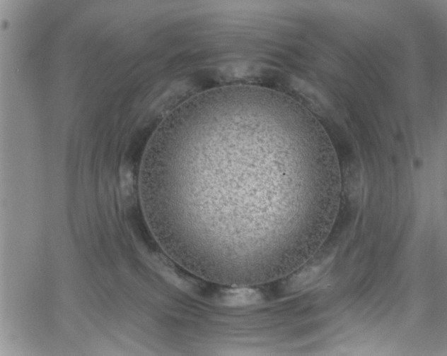 X0000058780087200510031031