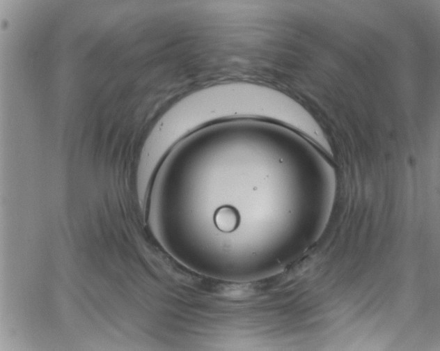 X0000058780088200510031031