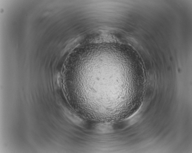 X0000058780094200510031031