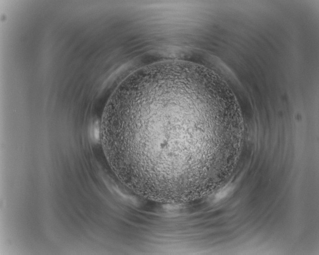 X0000058780095200510031031