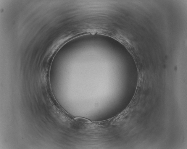 X0000058780098200510031030