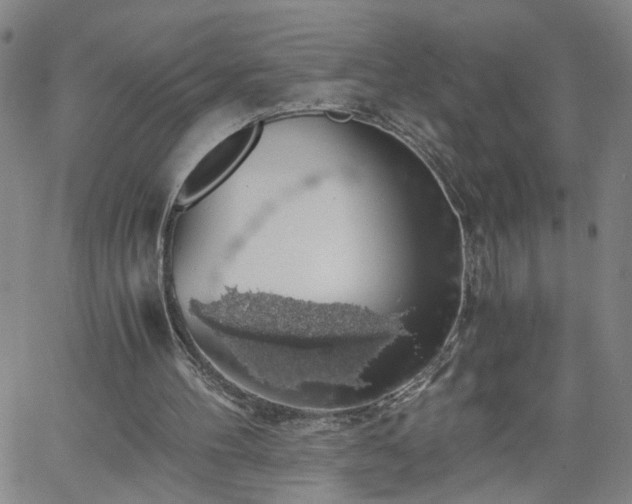 X0000058780100200510031030