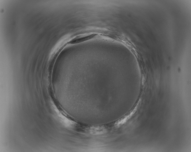 X0000058780101200510031030