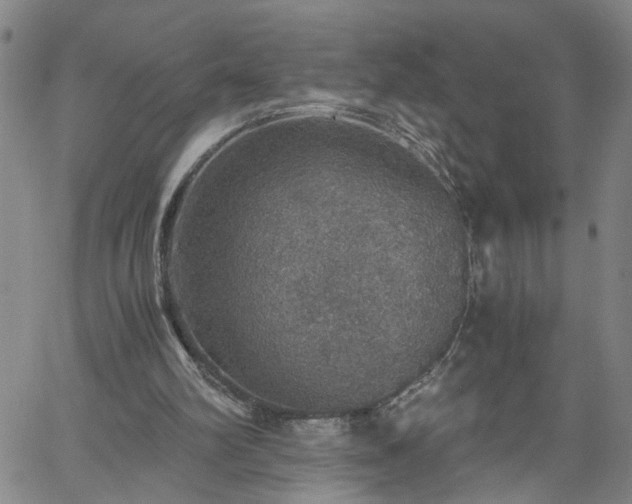 X0000058780102200510031030