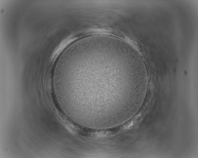 X0000058780103200510031030