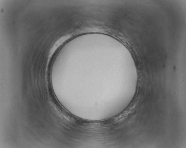 X0000058780104200510031030