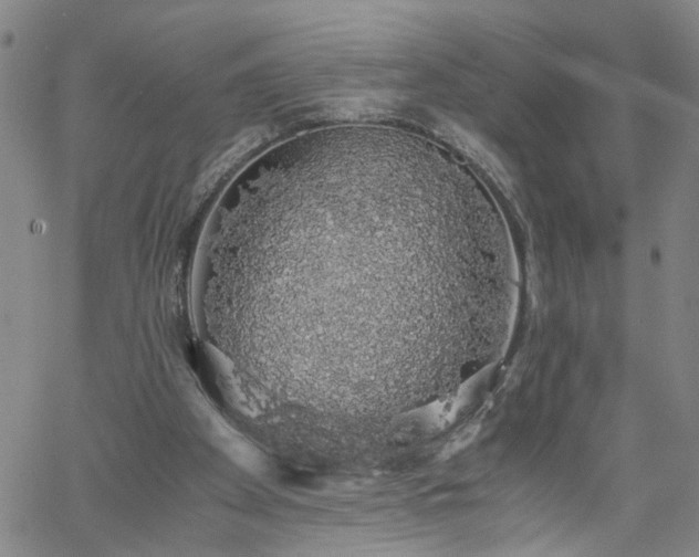 X0000058780105200510031030