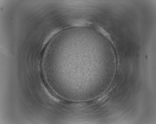 X0000058780106200510031030