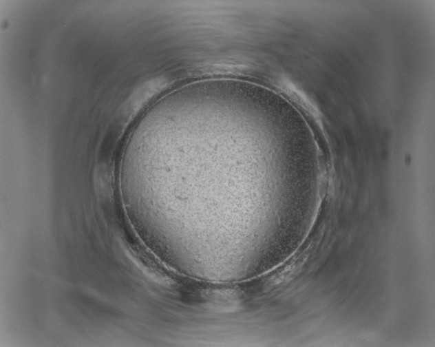 X0000058780107200510031030