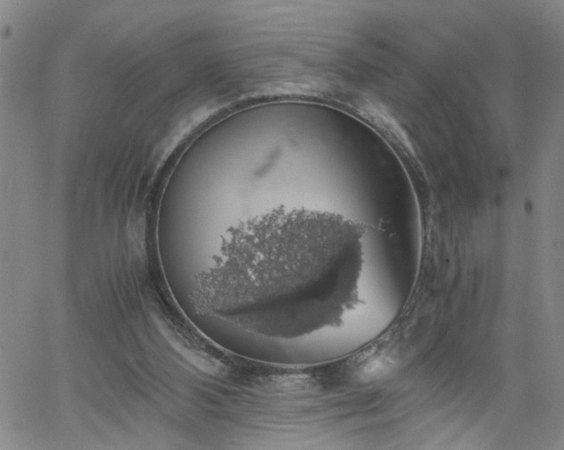 X0000058780108200510031030