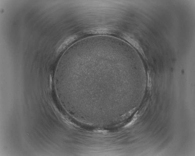 X0000058780109200510031030