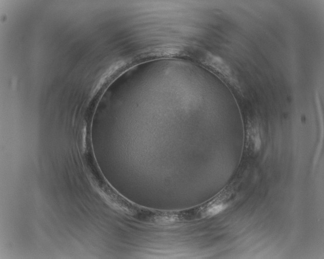 X0000058780110200510031030