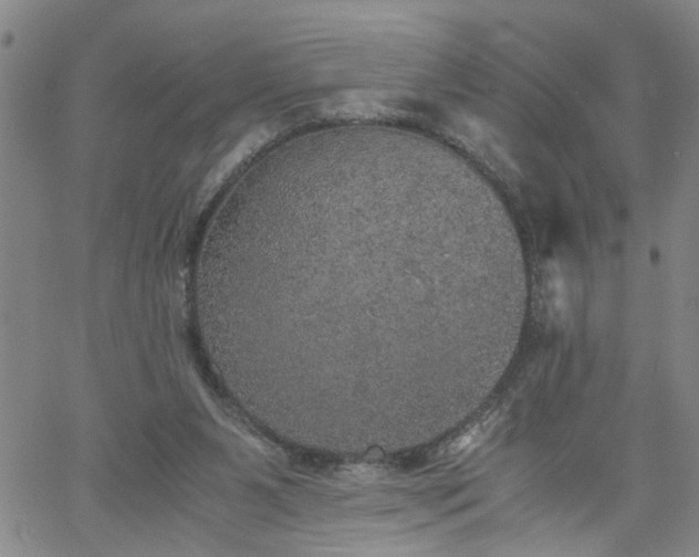 X0000058780111200510031030