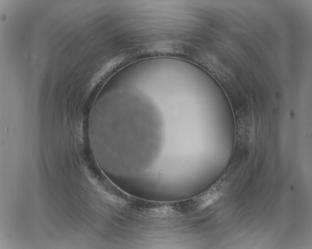 X0000058780112200510031030