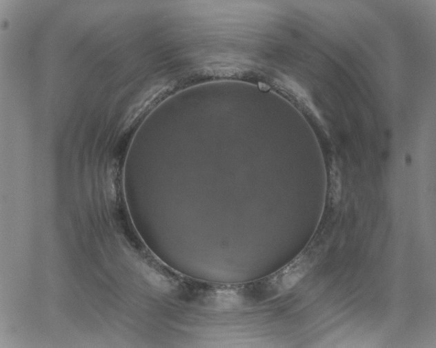 X0000058780114200510031030