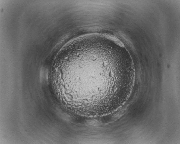 X0000058780115200510031030