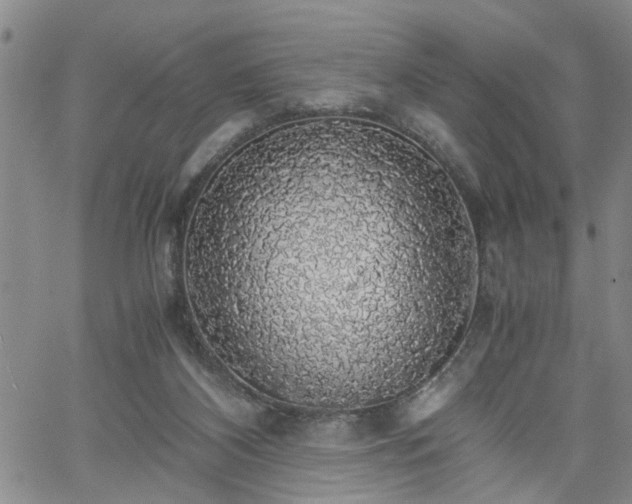 X0000058780116200510031030