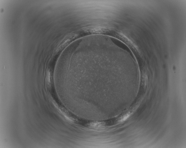 X0000058780117200510031030