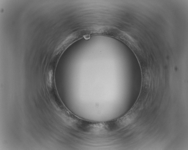 X0000058780118200510031030